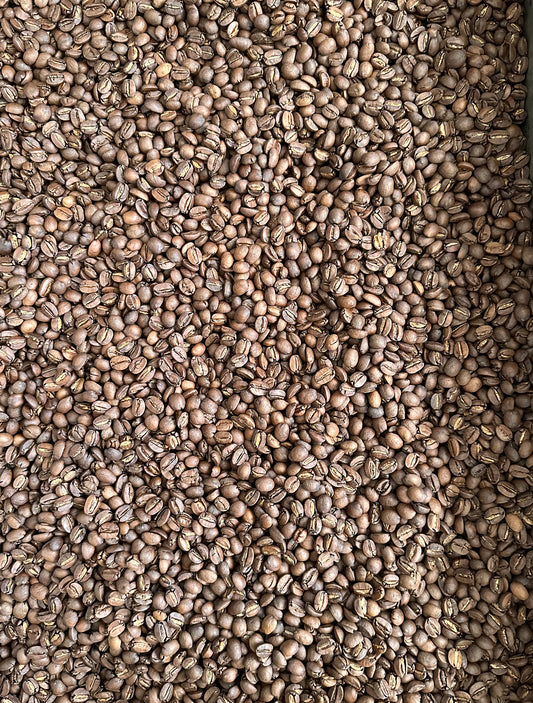 Medium Roast Coffee Beans (Whole) - 1lb/16oz