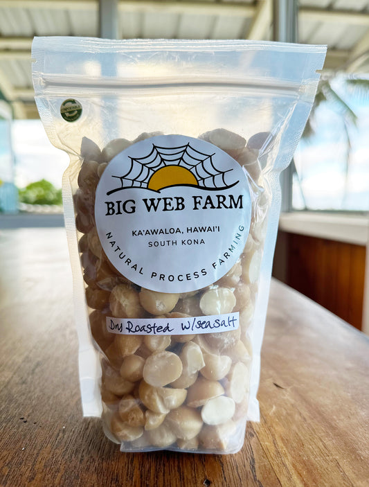 Dry Roasted Macadamia Nut (Salted) - 1lb/16oz