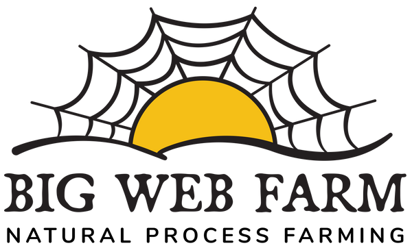 The Big Web Farm